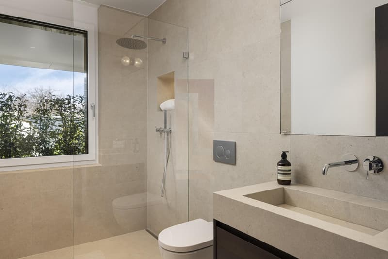 Attique en duplex de haut standing (6)