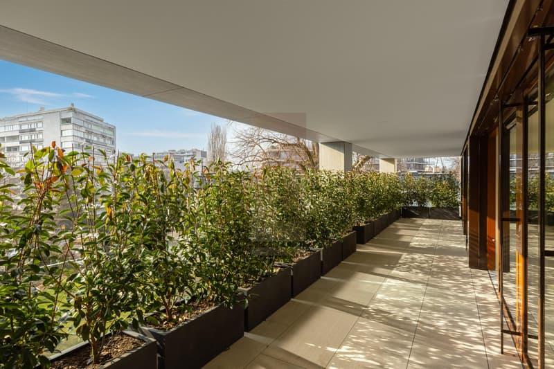 Attique en duplex de haut standing (11)