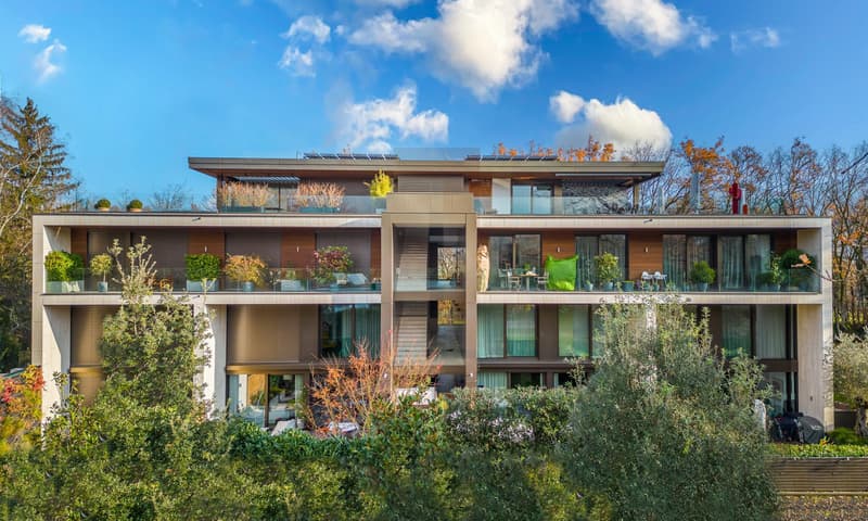 Magnifique appartement duplex en attique avec terrasse et piscine (2)