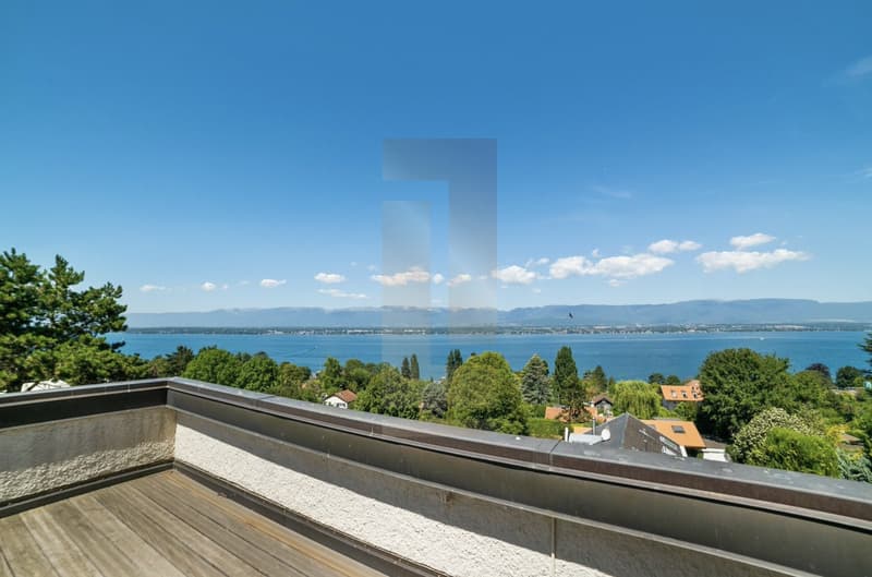Sublime maison avec vue lac à Anières (8)
