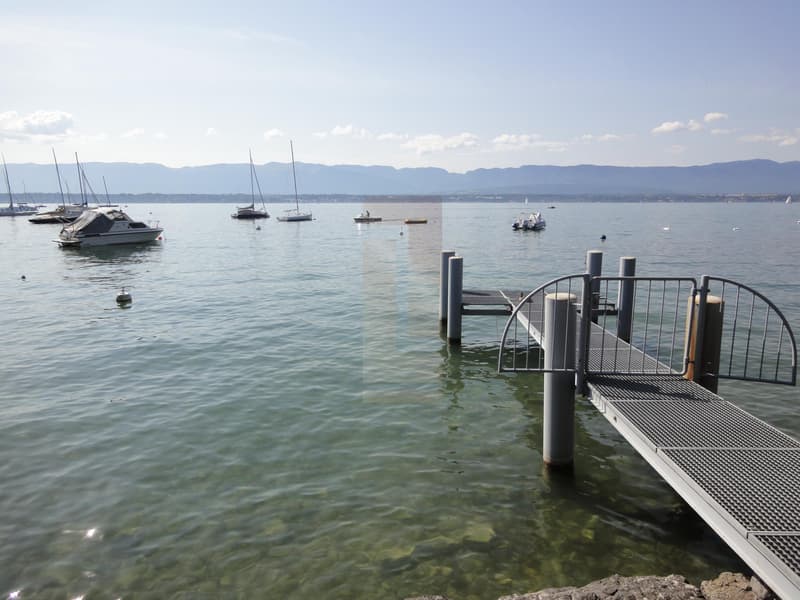 Magnifique villa contemporaine meublée pieds-dans-l'eau (12)