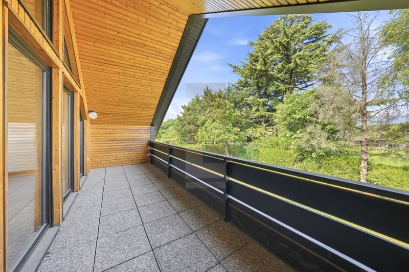 Élégante villa familiale à Genthod aux portes de Genève (6)