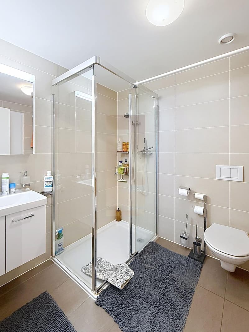 Bel appartement familial (7)