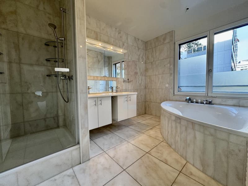 Superbe appartement à deux pas du centre ville (8)