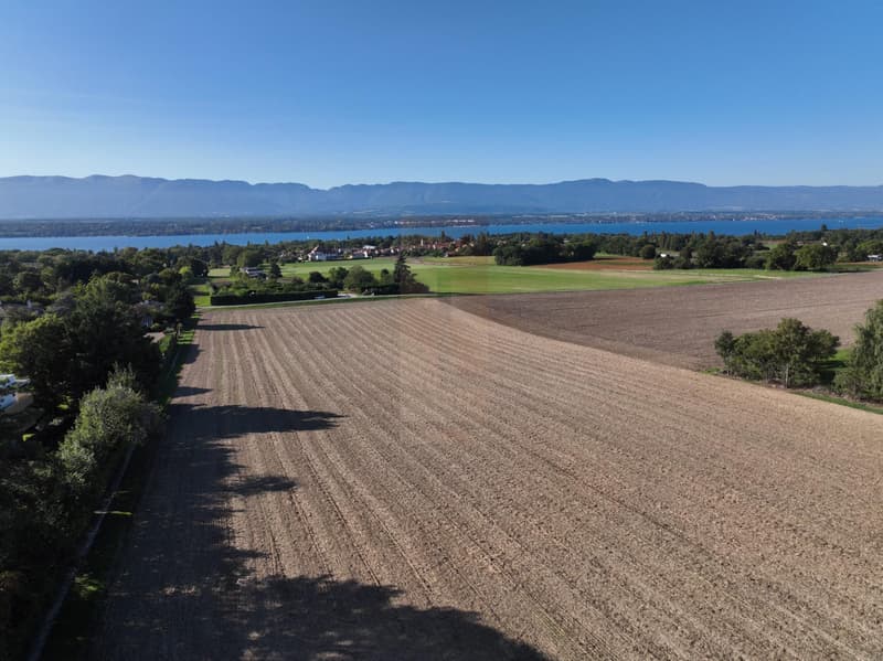 En Exclusivité : Townhouse avec vue lac et piscine dans une résidence haut de gamme (5)