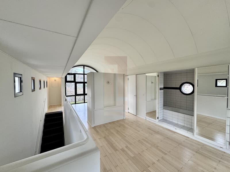 Maison atypique au coeur de Chambesy (9)