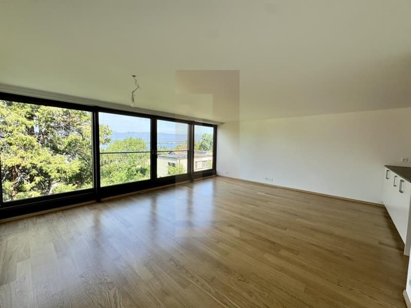 Bel appartement familial au centre de Vesenaz avec vue lac (5)