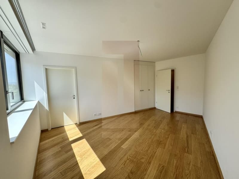Bel appartement familial au centre de Vesenaz avec vue lac (12)