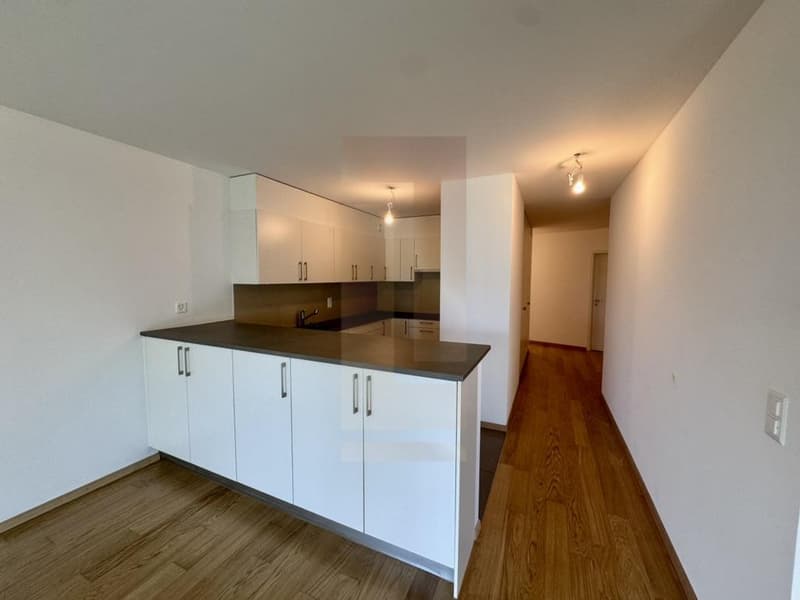 Bel appartement familial au centre de Vesenaz avec vue lac (3)