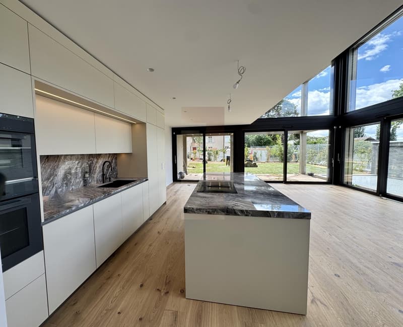 Superbe villa contemporaine neuve (5)