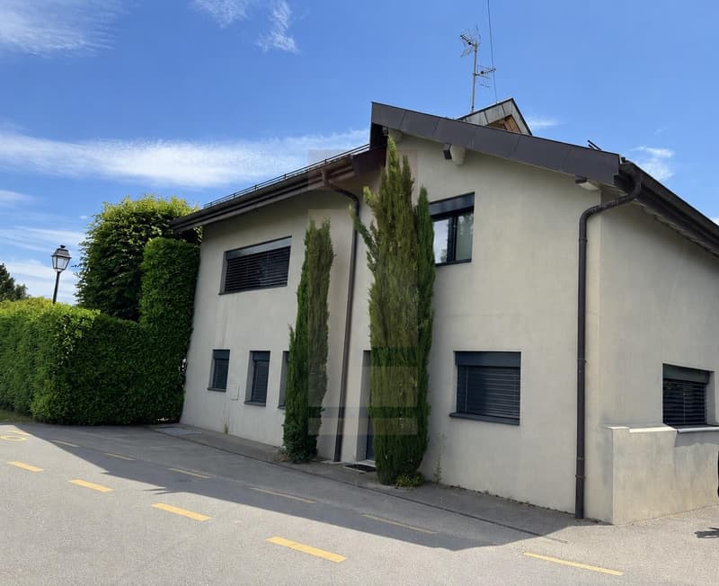Belle villa contemporaine au coeur de la campagne genevoise (1)