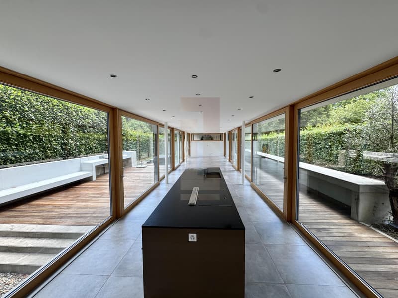 Belle villa contemporaine au coeur de la campagne genevoise (4)