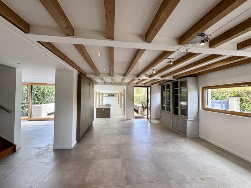 Belle villa contemporaine au coeur de la campagne genevoise (3)