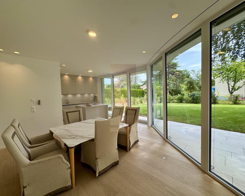 Belle villa contemporaine avec jardin (3)