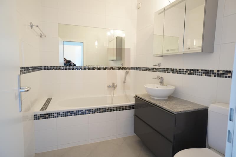 Appartement lumineux proche du centre ville (8)