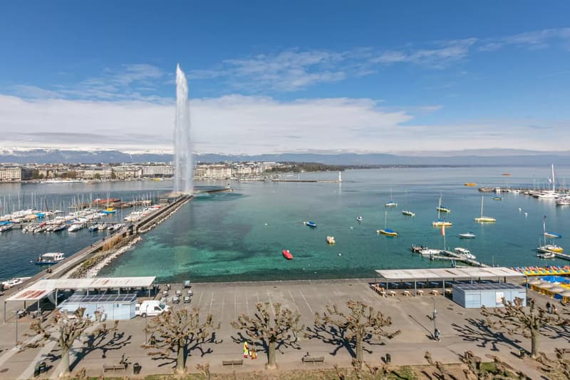 Stunning view of the Jet d'eau and Geneva Lake (1)