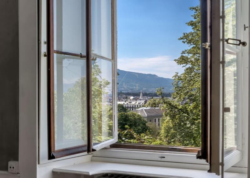 ÉLÉGANT APPARTEMENT DE CARACTÈRE AVEC VUE DÉGAGÉE SUR LE PARC DES BASTIONS (7)
