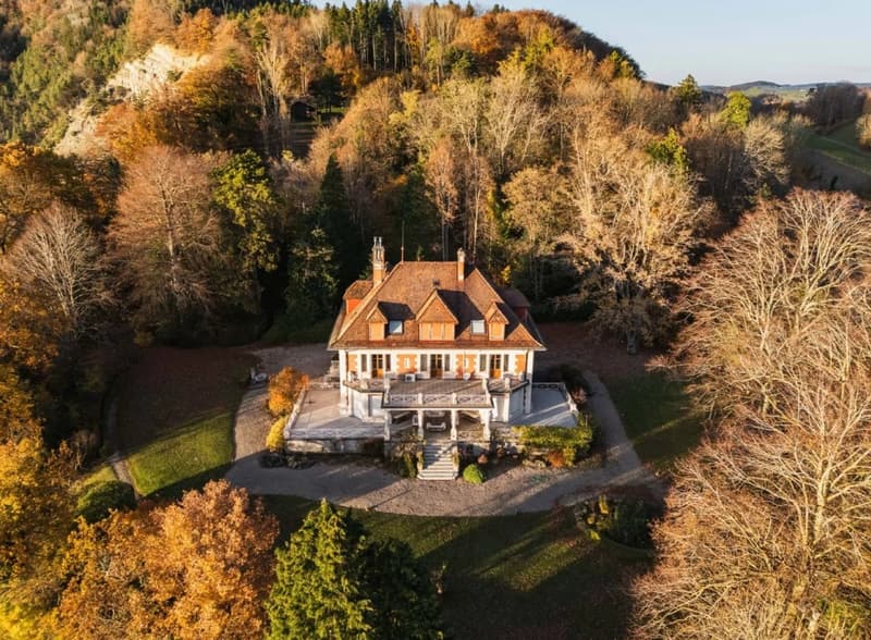 EXCLUSIVITE - L'élégance intemporelle d'une grande demeure surplombant le Léman (6)