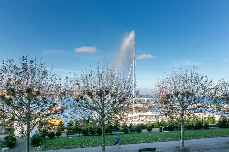 OFF-MARKET - Magnifique appartement de Maître traversant face au lac (2)
