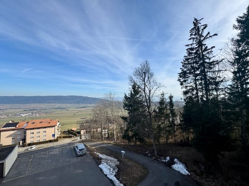 Agréable 4,5 Pièces avec superbe vue sur le Val-de-Ruz