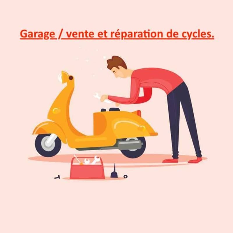 A vendre - Remettre atelier de réparations de cycle et scooter à Genève. (2)