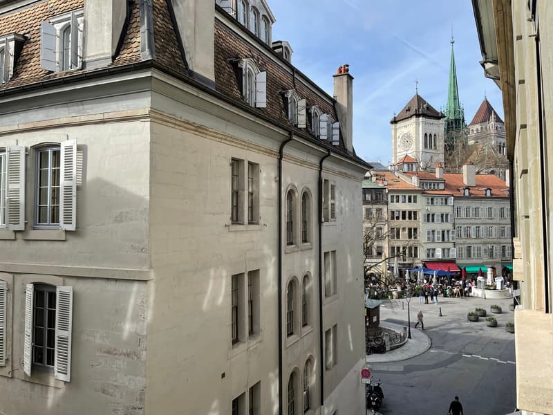 Charme et Elégance, 2 pièces, Vieille-Ville, Old Town Geneva, beautiful  2 rooms flat, Charm (1)
