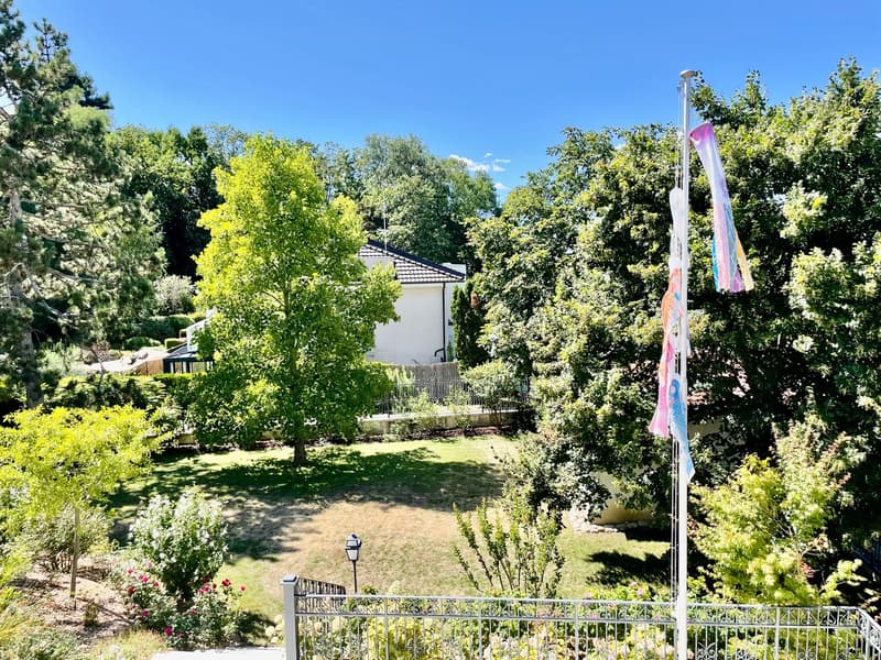 large grassy lawn, a garden with various plants and flowers, flag pole, house in the background