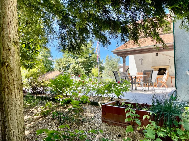 a garden with wooden chairs, tables, and plants, a tree trunk, and a house in the background