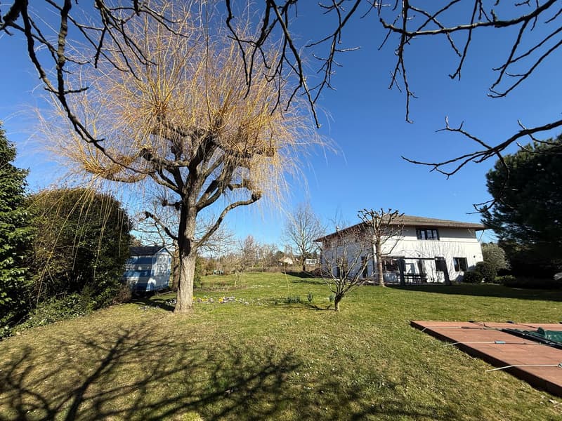 House with garden, large lawn, a tree in the center, and a shed on the left.