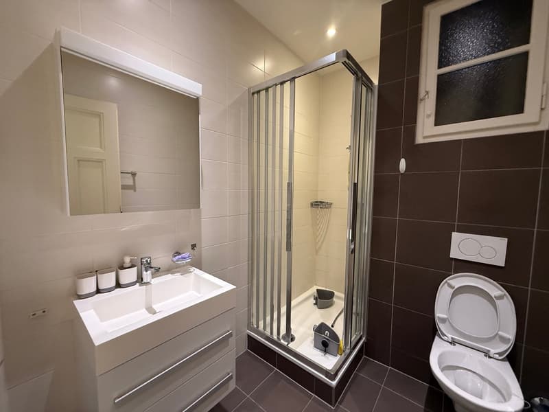 Elégant et spacieux appartement de 7.5 pièces à Champel, Genève (5)