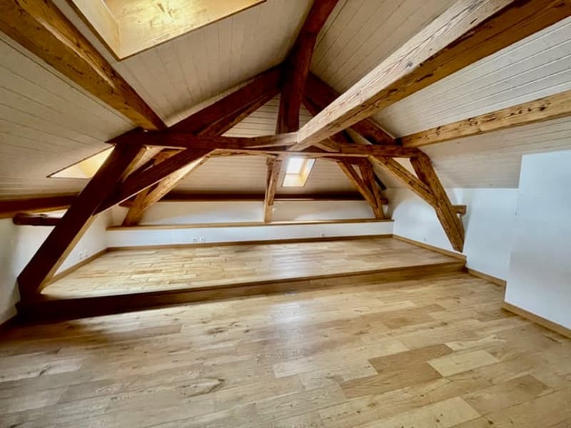 Majestueuse Villa de Caractère à Jussy – 11 Pièces, 350 m² (7)
