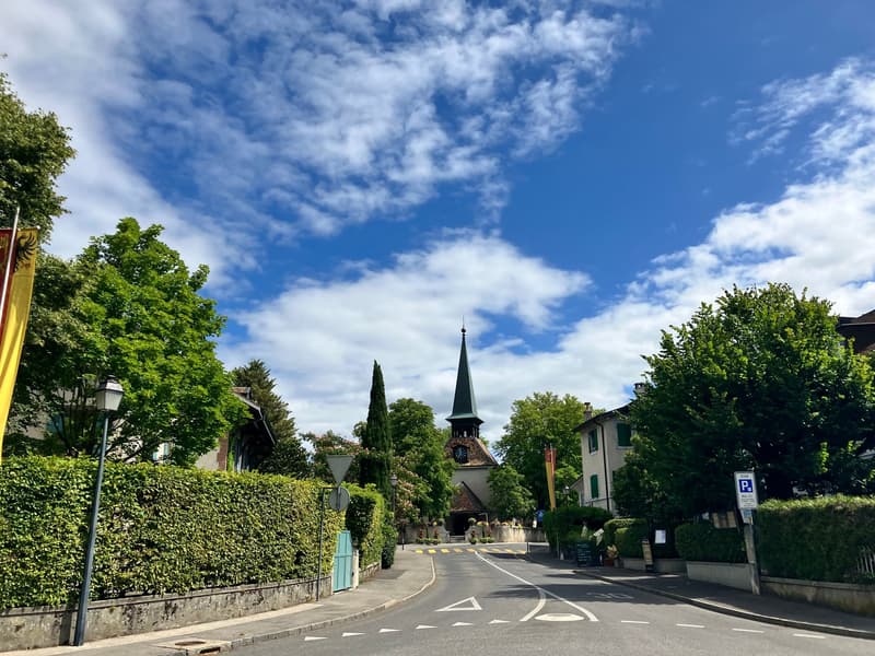 Majestueuse Villa de Caractère à Jussy – 11 Pièces, 350 m² (6)