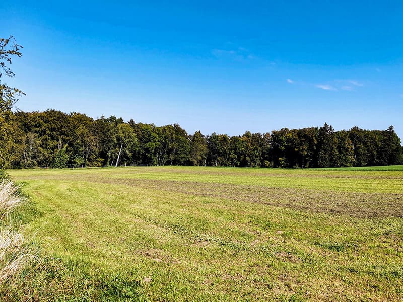 ROMANEL-SUR-LAUSANNE - BEL APPARTEMENT FAMILIAL TRES LUMINEUX | homegate.ch
