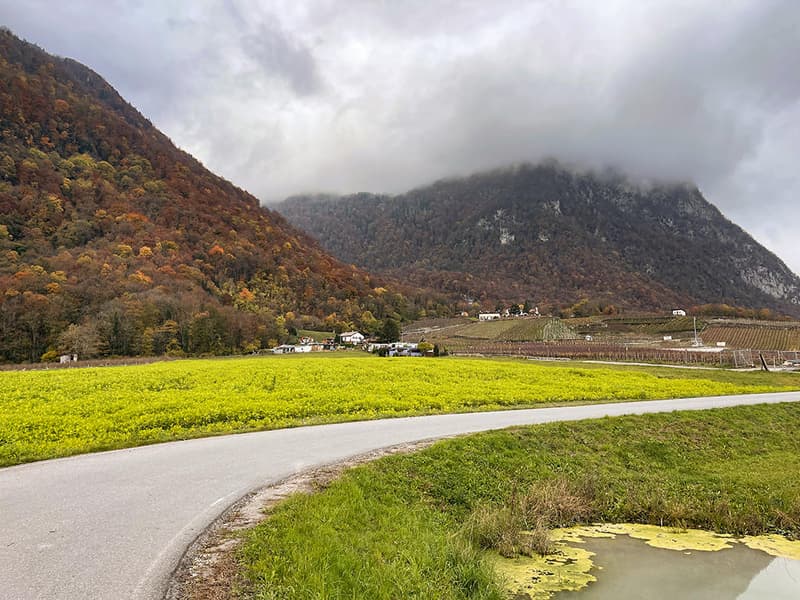 EVIONNAZ ALENTOURS - TERRAIN EXCEPTIONNEL | homegate.ch