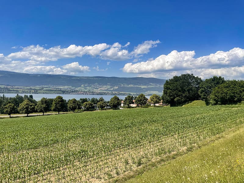 YVERDON-LES-BAINS - MAGNIFIQUE REZ-DE-JARDIN - 4.5 PIECES | homegate.ch