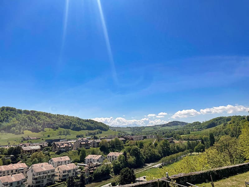 MOUDON - DEUX BELLES VILLAS - CALME ET BELLE SITUATION | homegate.ch