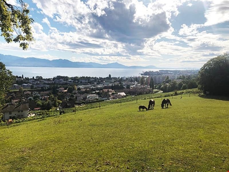 AUX PORTES DE MORGES - BATISSE EXCEPTIONNELLE | homegate.ch
