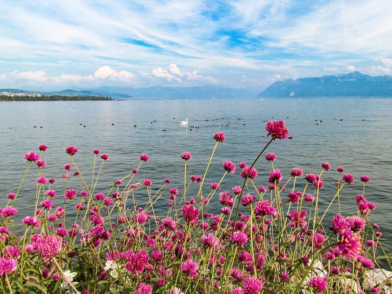 1110 Morges
