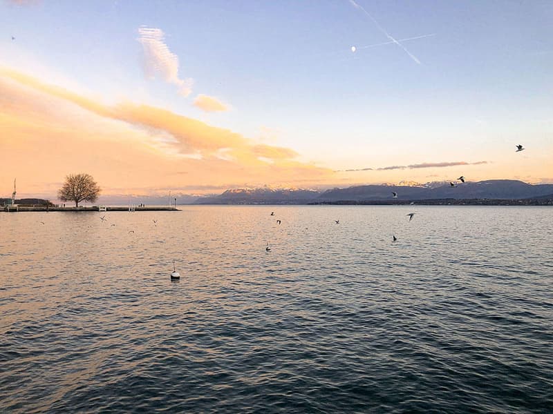 1260 Nyon