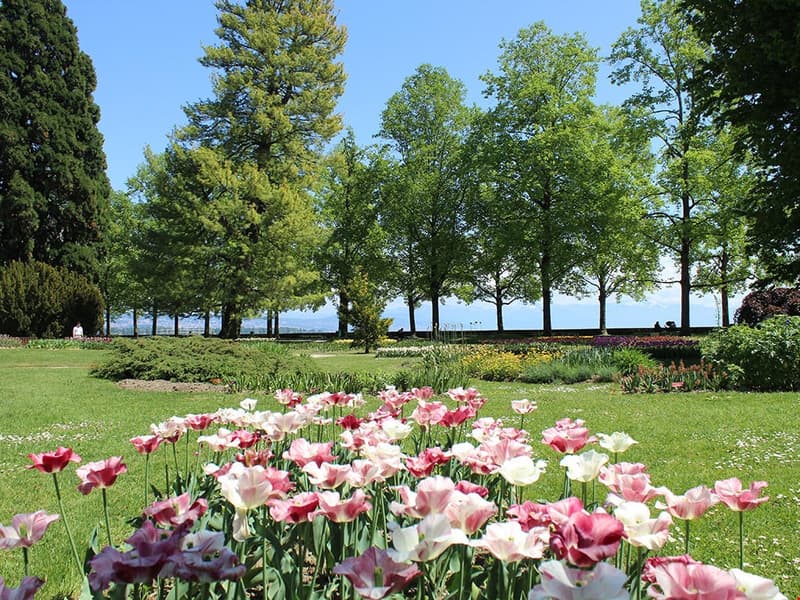 1110 Morges