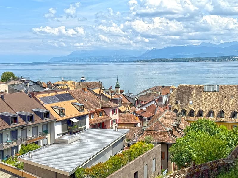 NYON - APPARTEMENT EN ATTIQUE EXCEPTIONNEL (3)