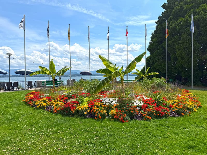 NYON - APPARTEMENT EN ATTIQUE EXCEPTIONNEL (4)