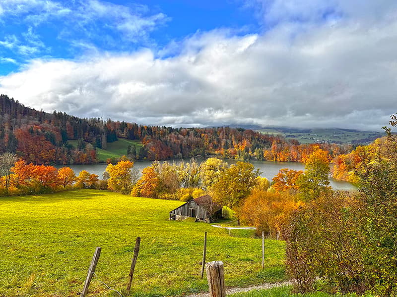 BULLE ET REGION - VILLAS NEUVES (4)