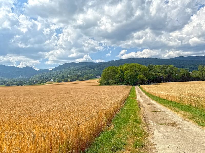 SUR LES HAUTS DE GIVRINS - MAJESTUEUSE VILLA (3)