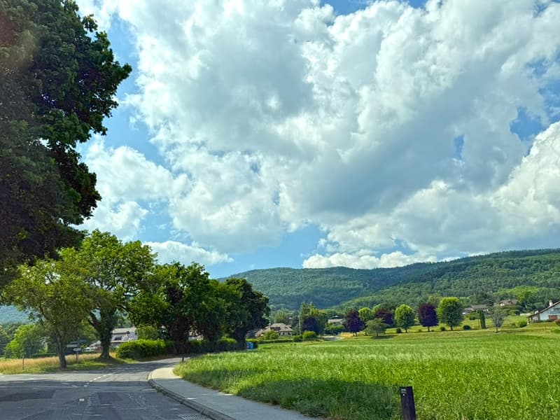 SUR LES HAUTS DE GIVRINS - MAJESTUEUSE VILLA (2)