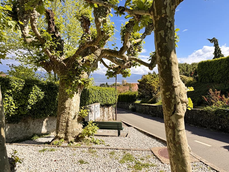 ENTRE MORGES ET LAUSANNE - MAISON RENOVEE AVEC PISCINE (3)