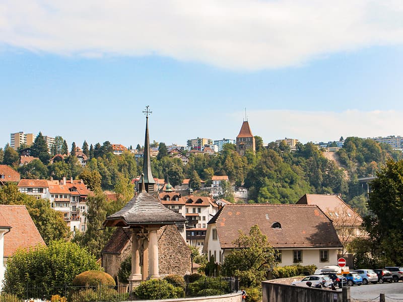 AUX PORTES DE FRIBOURG - VILLA AU CARACTÈRE UNIQUE (3)