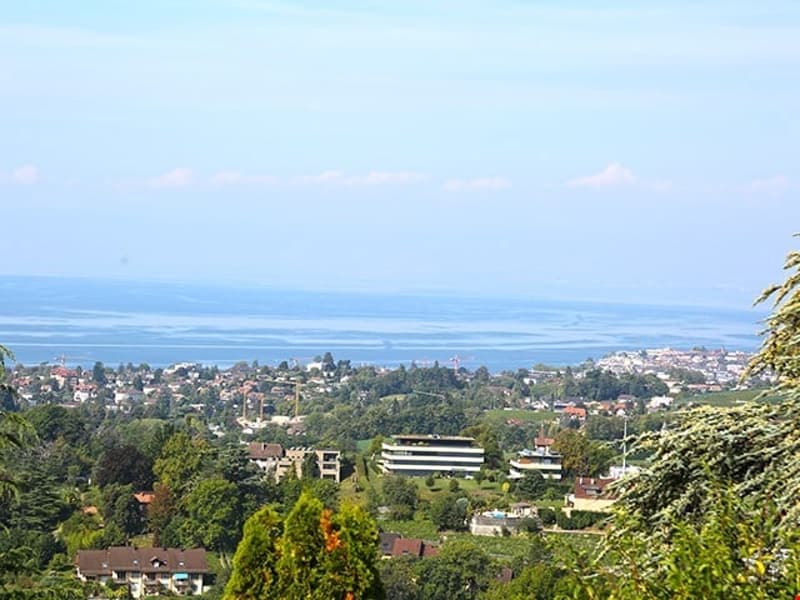 DANS LES HAUTEURS DE MONTREUX - SPLENDIDE APPARTEMENT (2)
