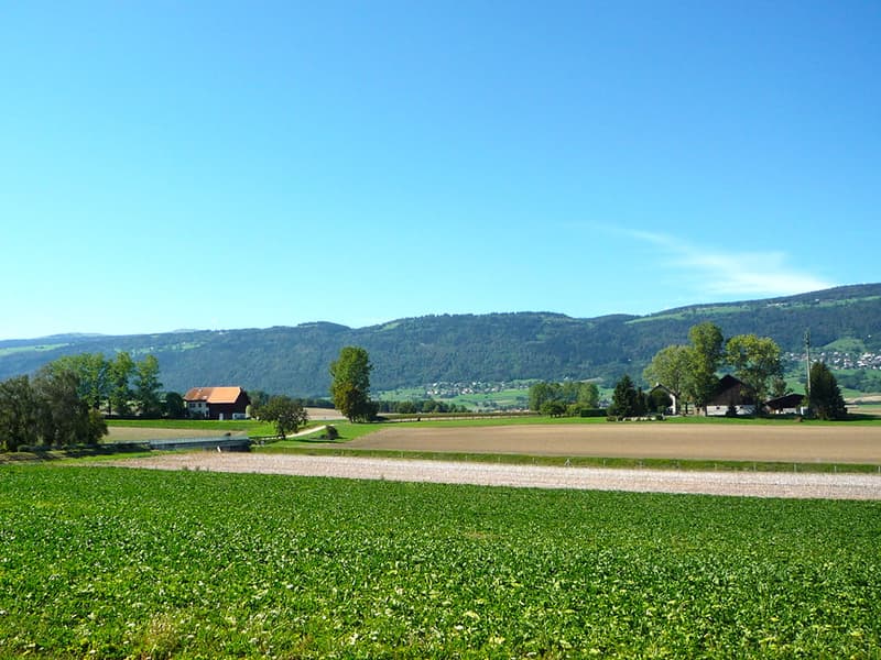 GRANDSON OUEST - SPACIEUSE VILLA INDIVIDUELLE AU CALME (4)
