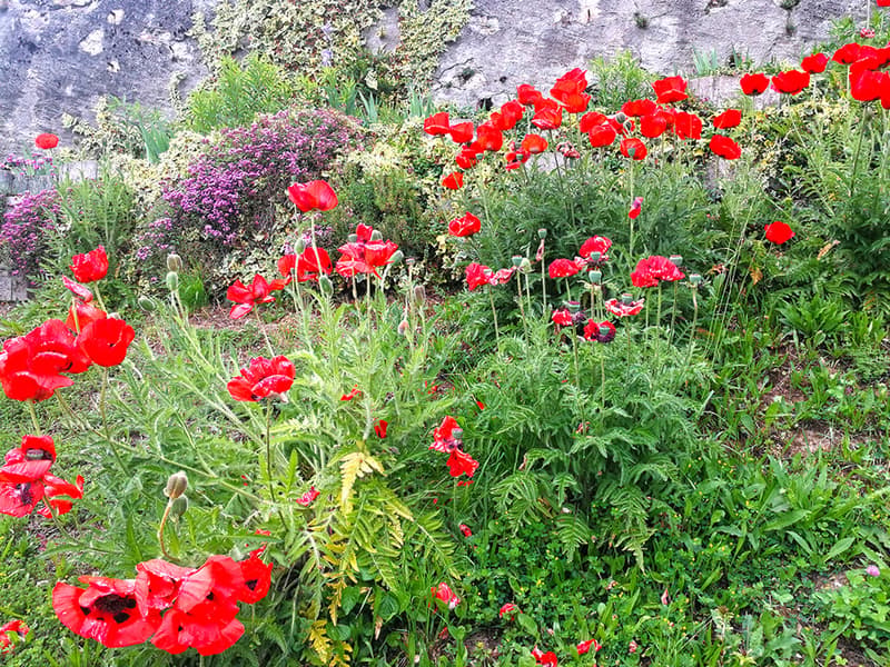 GRANDSON OUEST - SPACIEUSE VILLA INDIVIDUELLE AU CALME (2)